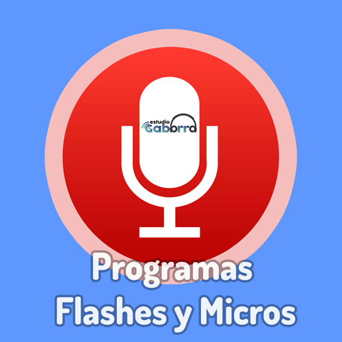 Programas y micros